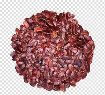 Xinfeng County, Jiangxi Kuaci Pumpkin seed Watermelon, Special flavor of the original pumpkin seeds transparent background PNG clipart