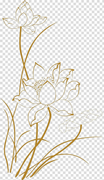 Xinshi, Shandong Euclidean , Lotus line drawings, lotus flower illustration transparent background PNG clipart