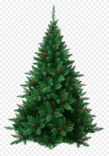 Xmas Pine Tree Decorated Christmas Tree Clipart - Tree Is Christmas Tree Xmas Pine Tree Decorated Christmas Tree Clipart - Tree Is Christmas Tree