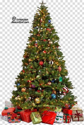 Xmas tree , green Christmas tree transparent background PNG clipart