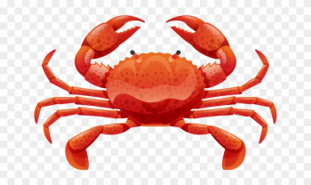 Yangcheng Lake Crab Poster Illustration - Cartoon Crab Food Yangcheng Lake Crab Poster Illustration - Cartoon Crab Food
