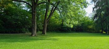 Yard png 3 » PNG Image Yard png 3 » PNG Image