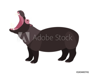 Yawning hippopotamus isolated on white background Yawning hippopotamus isolated on white background