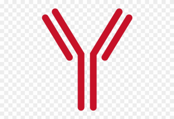 Years In Business - Antibody Transparent Background Years In Business - Antibody Transparent Background