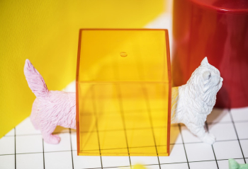 Yellow Acrylic Container