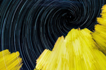 yellow and black illustration yellow and black illustration