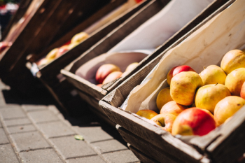 Yellow and Red Apples on Brown Crate Yellow and Red Apples on Brown Crate
