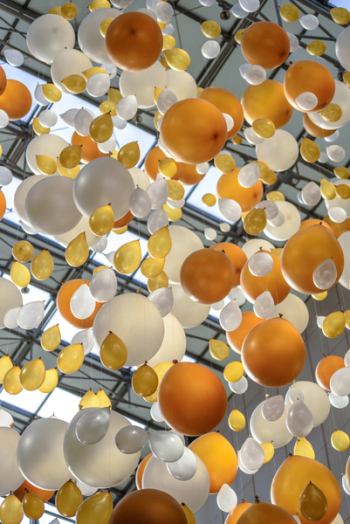 Yellow Balloon Beside White Balloon Yellow Balloon Beside White Balloon