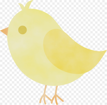 yellow bird clip art chicken beak yellow bird clip art chicken beak