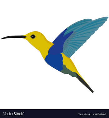 yellow blue hummingbird yellow blue hummingbird