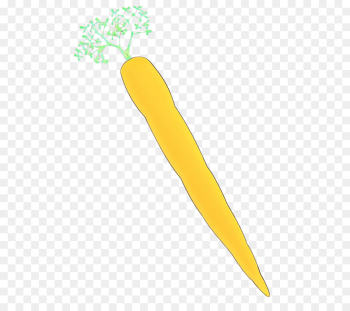 yellow carrot vegetable vegetarian food food yellow carrot vegetable vegetarian food food