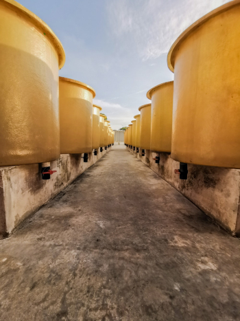 Yellow Containers Under Cloudy Sky Yellow Containers Under Cloudy Sky