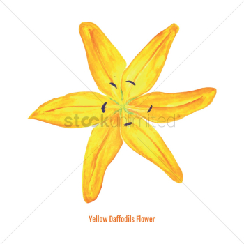 Yellow daffodils flower Yellow daffodils flower