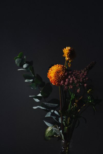 yellow flower yellow flower