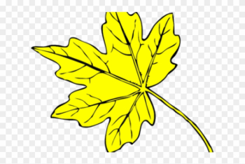 Yellow Flower Clipart Leave Clipart - Line Drawing Maple Leaf Yellow Flower Clipart Leave Clipart - Line Drawing Maple Leaf