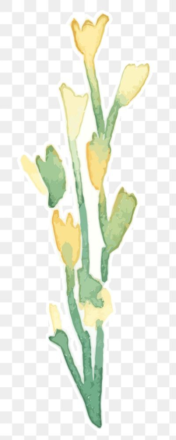 Yellow flower plant transparent png watercolor sticker Yellow flower plant transparent png watercolor sticker
