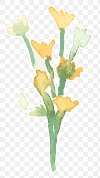 Yellow flower plant transparent png watercolor sticker Yellow flower plant transparent png watercolor sticker