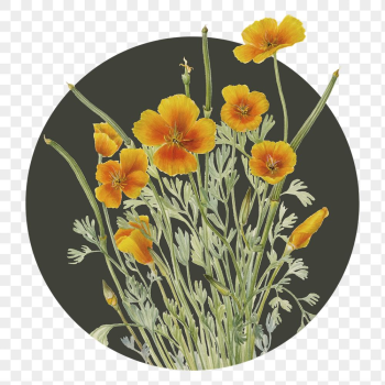 Yellow flower png badge sticker, | Free PNG - rawpixel