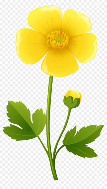 Yellow Flower Transparent Png Clip Art Image - Yellow Flower Transparent Clipart