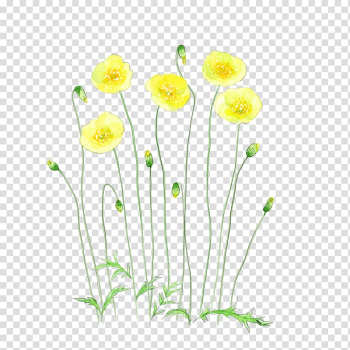 Yellow flowers , Flower Watercolor painting Illustration, Yellow watercolor flowers transparent background PNG clipart