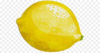 yellow fruit yellow fruit