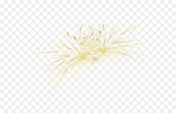 Yellow Gold Fireworks - Fireworks Yellow Gold Fireworks - Fireworks