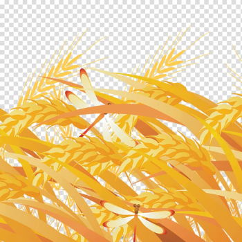 Yellow Grasses Fundal, Rice transparent background PNG clipart Yellow Grasses Fundal, Rice transparent background PNG clipart