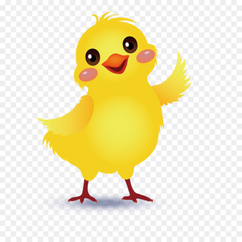 Yellow-hair chicken Little Yellow Chicken - Vector cute little yellow chicken 