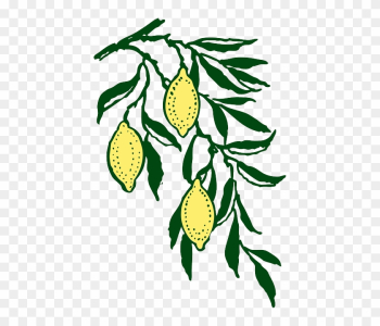Yellow, Leaf, Tree, Cartoon, Branch, Free, Lemon - Lemon Branch Clip Art Yellow, Leaf, Tree, Cartoon, Branch, Free, Lemon - Lemon Branch Clip Art