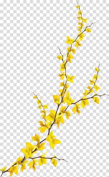 Yellow leafed plant illustration, Flower Computer file, Flowers transparent background PNG clipart