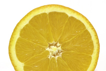 Yellow Lemon Fruit Yellow Lemon Fruit