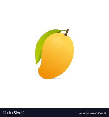 yellow mango yellow mango