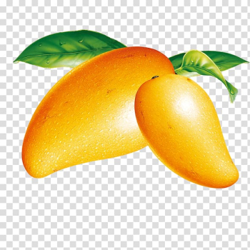 Yellow mango fruits illustration, Ice cream Mango Fruit, Mango transparent background PNG clipart