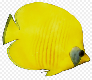 Yellow Marine biology Beak Fish -  
