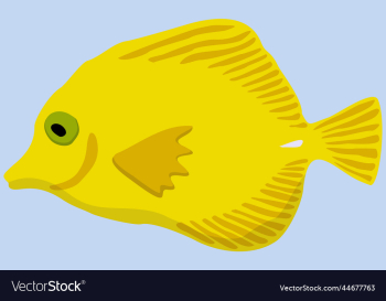 yellow marine exotic fish