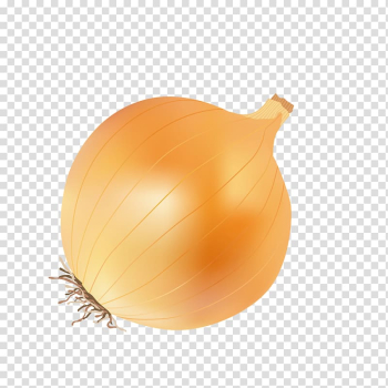 Yellow onion Calabaza Fruit Kitchen, onion transparent background PNG clipart Yellow onion Calabaza Fruit Kitchen, onion transparent background PNG clipart