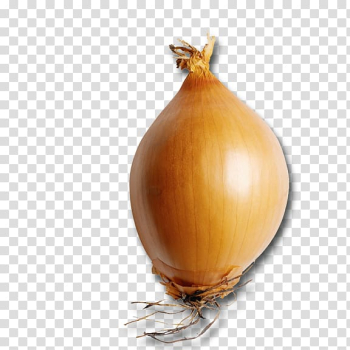 Yellow onion Confit Shallot Vegetable Broth, vegetable transparent background PNG clipart
