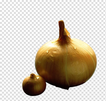 Yellow onion Shallot Vegetable, Vegetables onion transparent background PNG clipart Yellow onion Shallot Vegetable, Vegetables onion transparent background PNG clipart