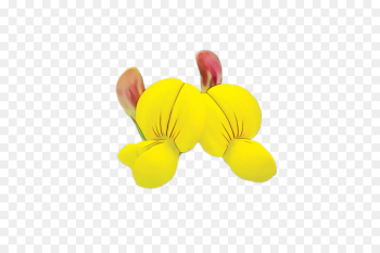 yellow petal plant flower yellow petal plant flower