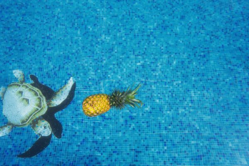 yellow pineapple fruit yellow pineapple fruit