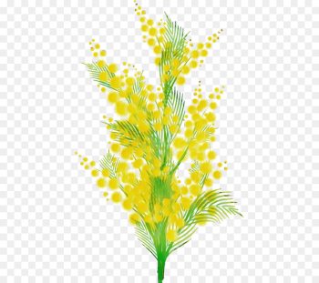 yellow plant leaf flower grass yellow plant leaf flower grass