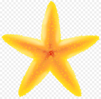 yellow plant starfruit fruit starfish yellow plant starfruit fruit starfish