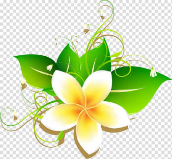 Yellow plumeria flower art, Frangipani Drawing, Cartoon egg flower material transparent background PNG clipart