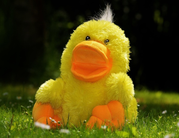 Yellow Plush Duck Toy Yellow Plush Duck Toy