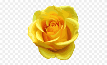 Yellow Rose Png Transparent Image - Yellow Rose Png