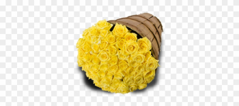 Yellow Roses - Garden Roses Yellow Roses - Garden Roses