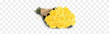 Yellow Roses - Garden Roses Yellow Roses - Garden Roses
