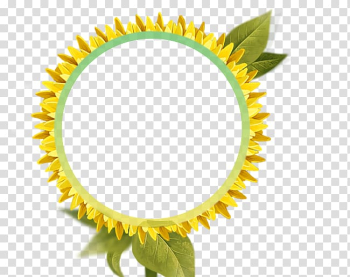 Yellow sunflower flower art, Common sunflower frame High-definition television, Sunflower border transparent background PNG clipart