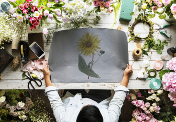 Yellow Sunflower Illustration Yellow Sunflower Illustration