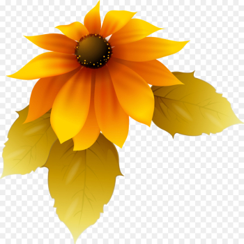 Yellow, Sunflower, Petal, Flower PNG Yellow, Sunflower, Petal, Flower PNG